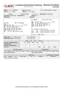 tr�chtige Fleckvieh Kalbin zu verkaufen, beweidet und ruhig